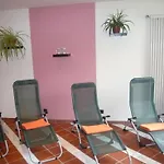 Hotel Hotel Falkenstein 3*