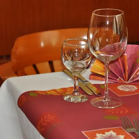 法尔肯斯坦酒店 酒店 Falkenstein (Vogtland)