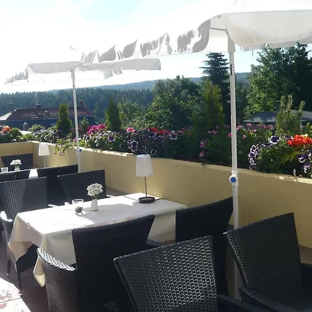 Hotel Falkenstein 3*