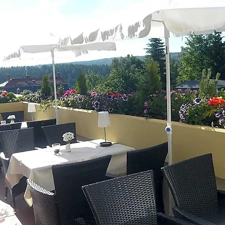 法尔肯斯坦酒店 酒店 Falkenstein (Vogtland)
