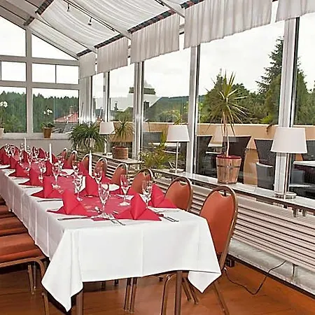 法尔肯斯坦酒店 3* Falkenstein (Vogtland)