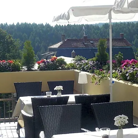 法尔肯斯坦酒店 3* Falkenstein (Vogtland)