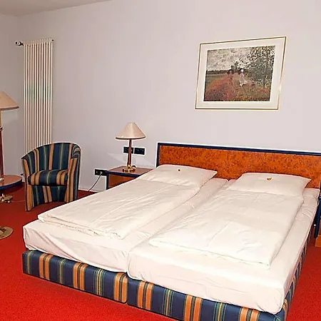 法尔肯斯坦酒店 3* Falkenstein (Vogtland)