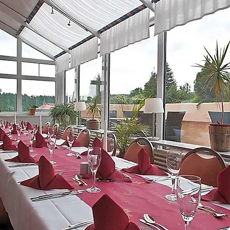 法尔肯斯坦酒店 3* Falkenstein (Vogtland)