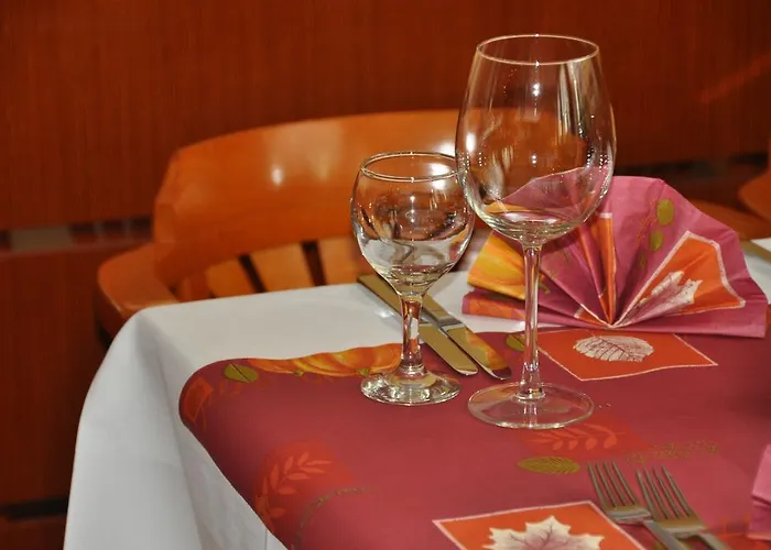 Hotel Falkenstein Hotel Falkenstein (Vogtland)